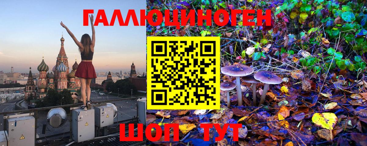Галлюциногенные грибы прущие грибы Можга